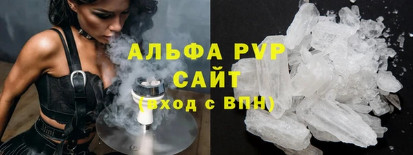 хмурый Магас