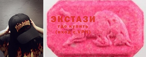 хмурый Магас