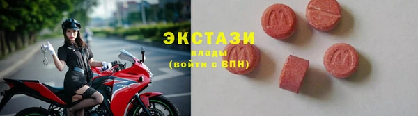 хмурый Магас