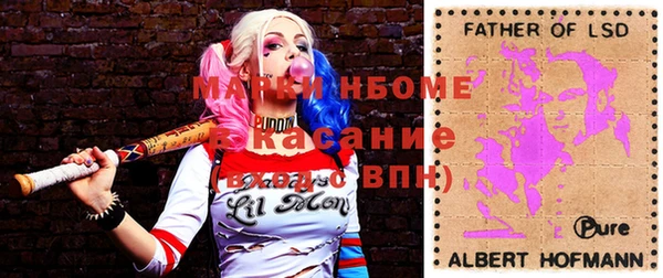 хмурый Магас