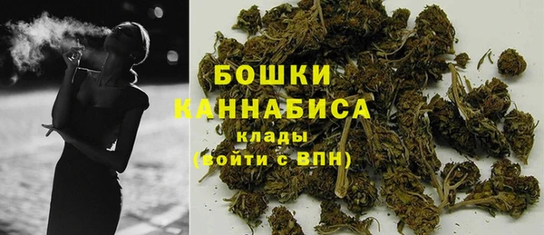 хмурый Магас