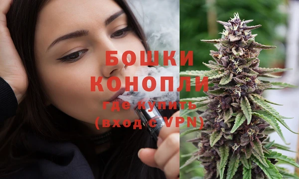 сатива Сафоново