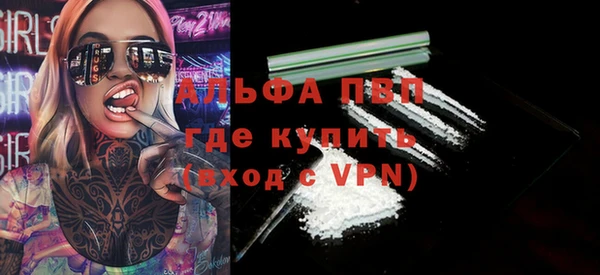 хмурый Магас