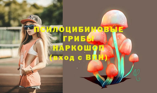 хмурый Магас