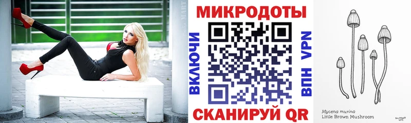 Псилоцибиновые грибы Psilocybe  Энем 